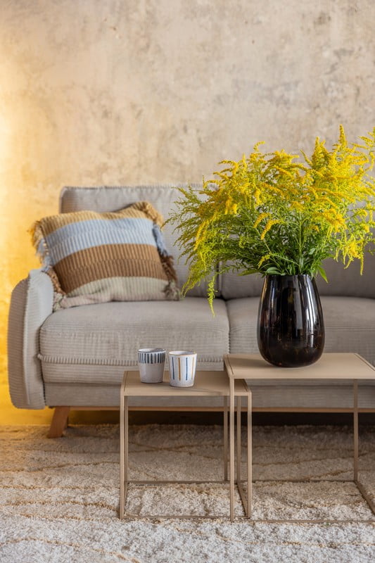 Вдъхновение: Всекидневна