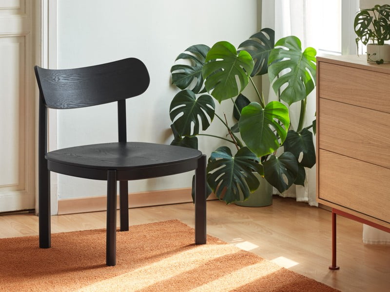 Вдъхновение: Всекидневна