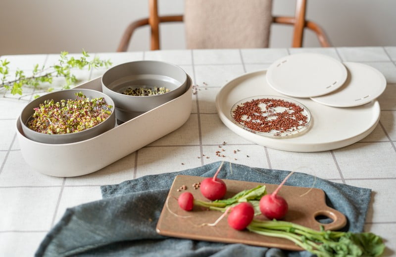Микрозеленчуци: Как лесно да отглеждате у дома пълни с витамини микрозеленчуци
