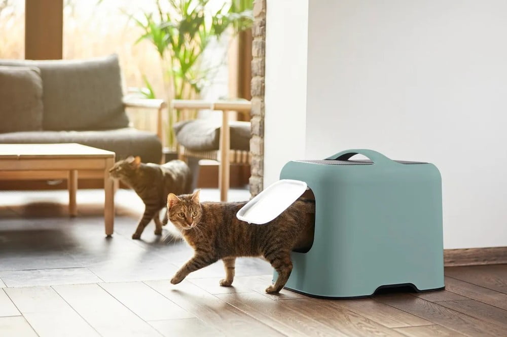 Вдъхновение: Домашни любимци