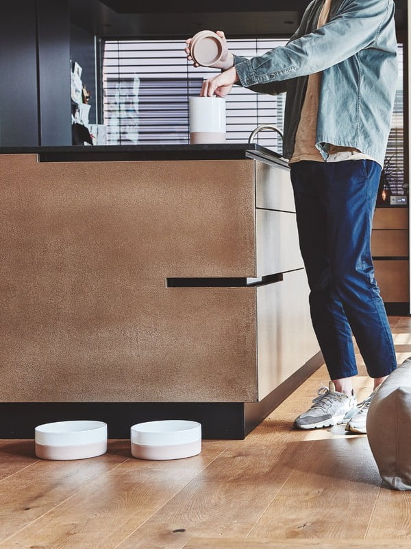 Вдъхновение: Скандинавски стил, Домашни любимци