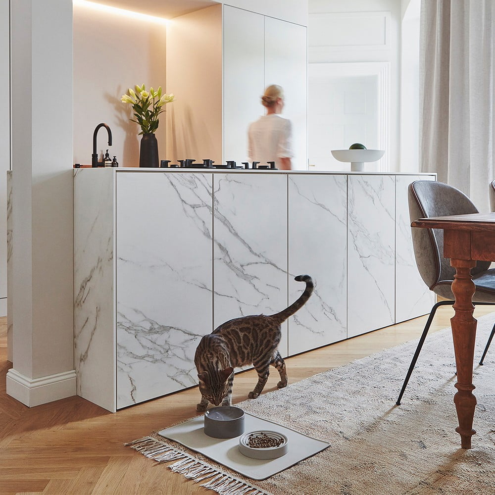 Вдъхновение: Домашни любимци