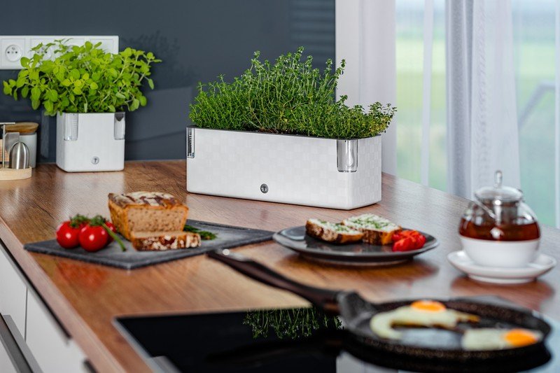 Вдъхновение: Кухня и трапезария, Пролет