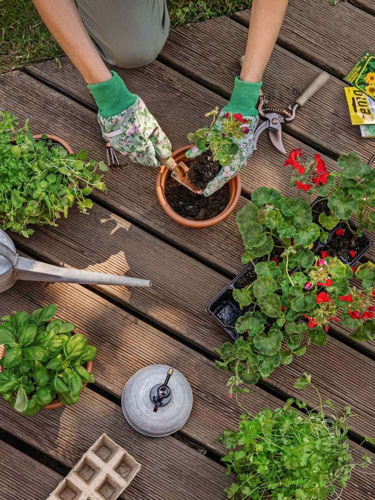 Вдъхновение: Градина