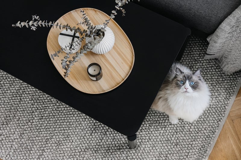 Вдъхновение: Всекидневна, Скандинавски стил