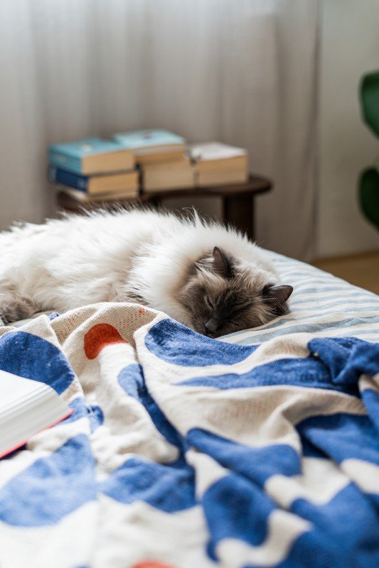 Вдъхновение: Декорация