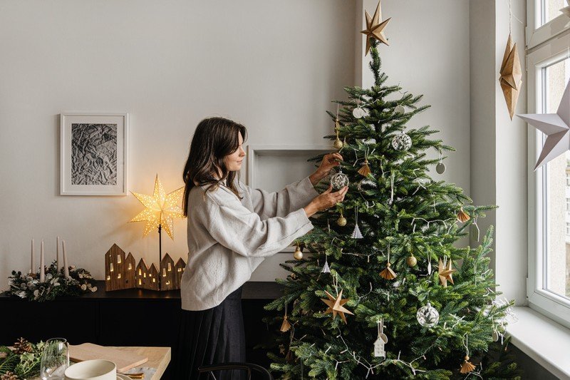 Вдъхновение: Коледа, Трапезария, Декорация