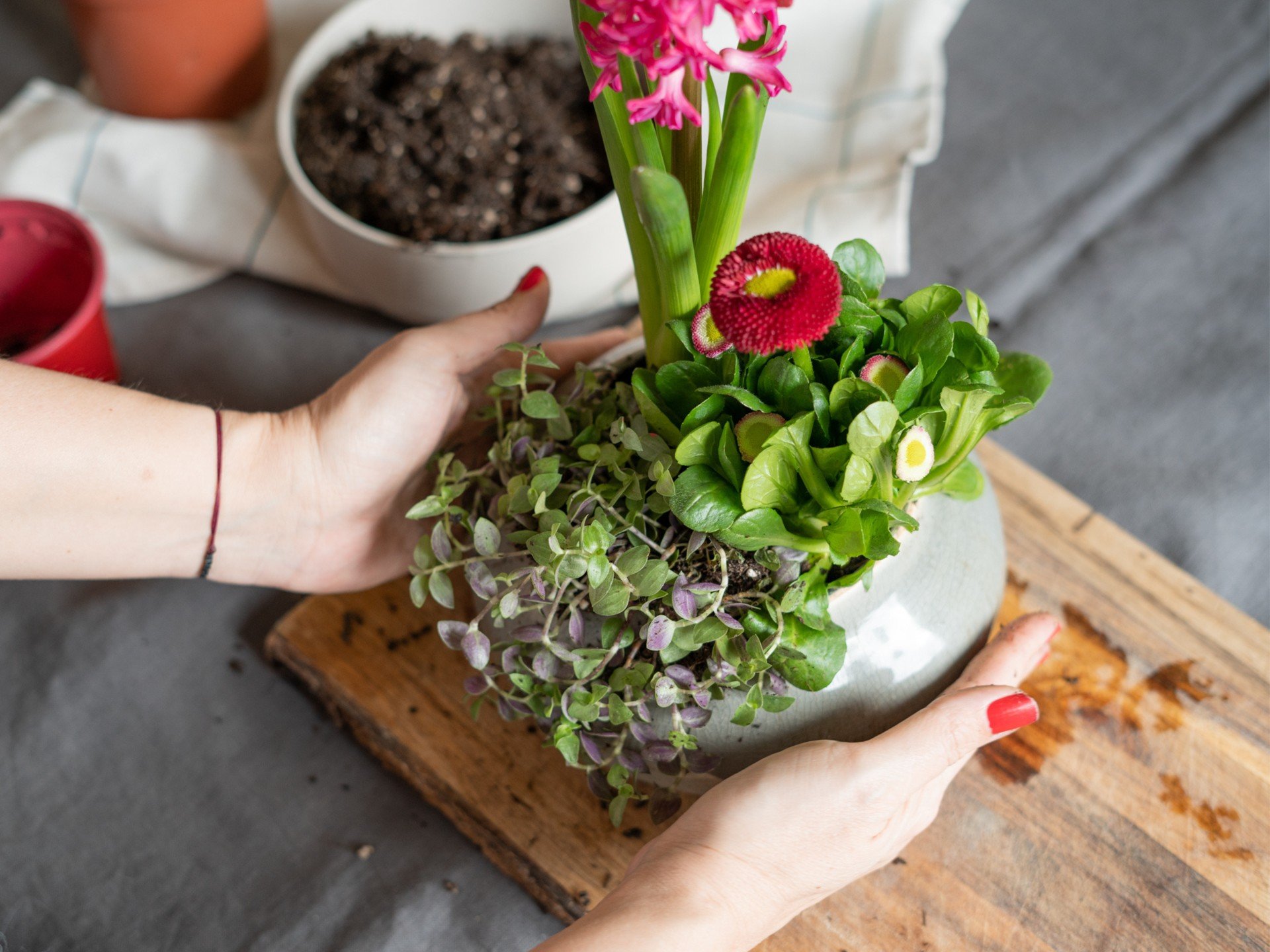 Пролетни декорации от луковици и цъфтящи растения