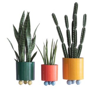 Цветя и саксии