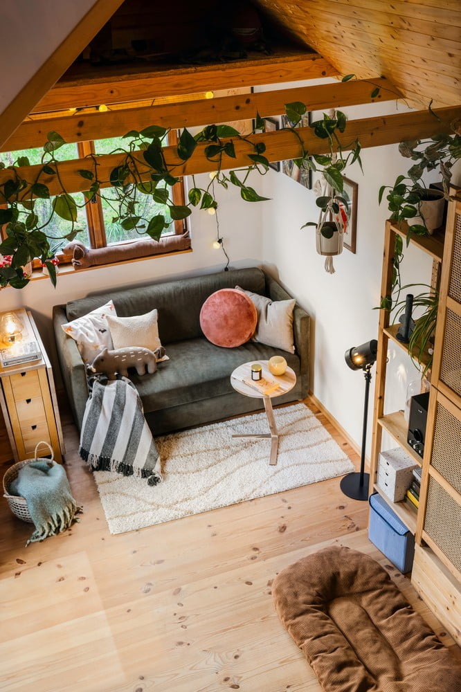 Вдъхновение: Всекидневна