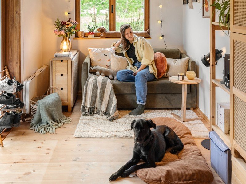 Вдъхновение: Всекидневна