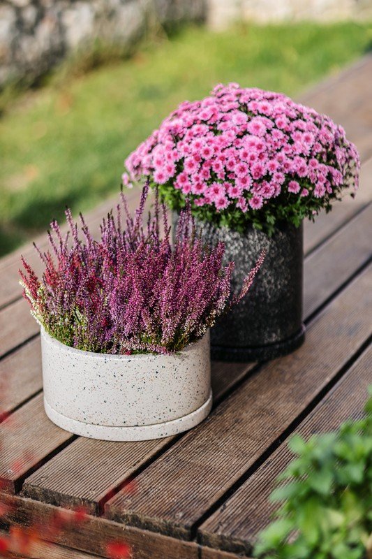 Вдъхновение: Градина, Балкон и тераса, Рустик стил