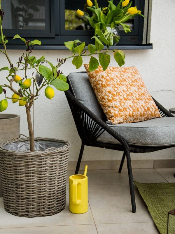 Вдъхновение: Балкон и тераса, Градина