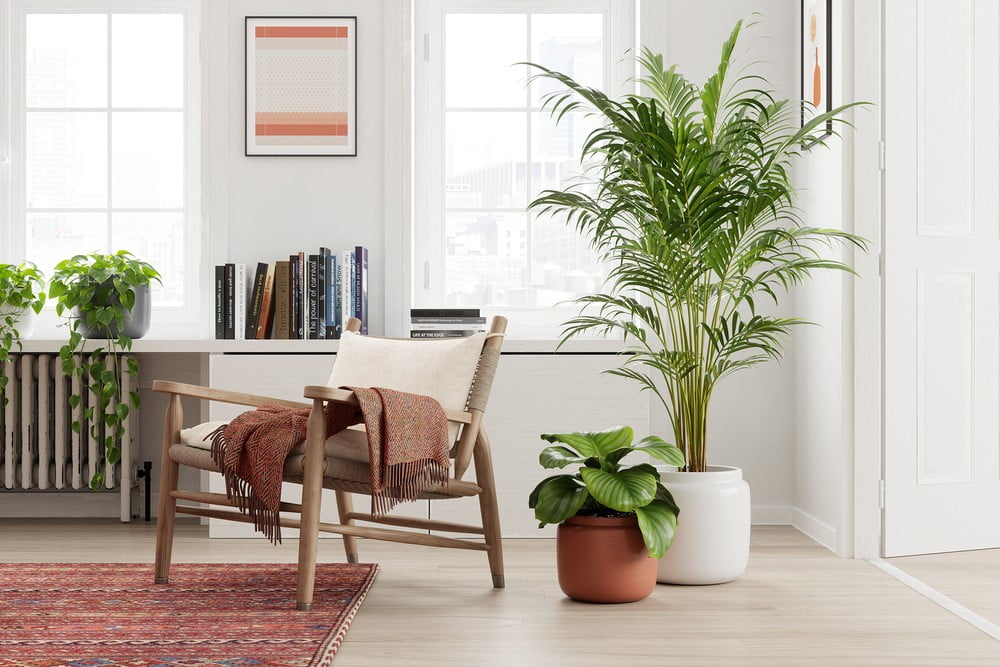 Вдъхновение: Декорация