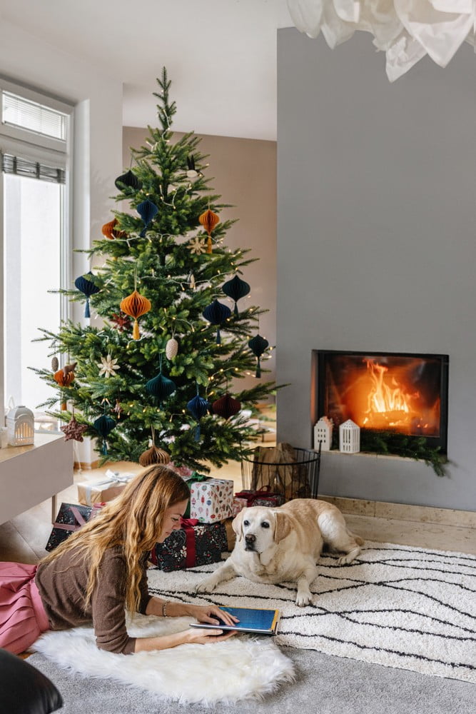 Вдъхновение: Коледа, Всекидневна