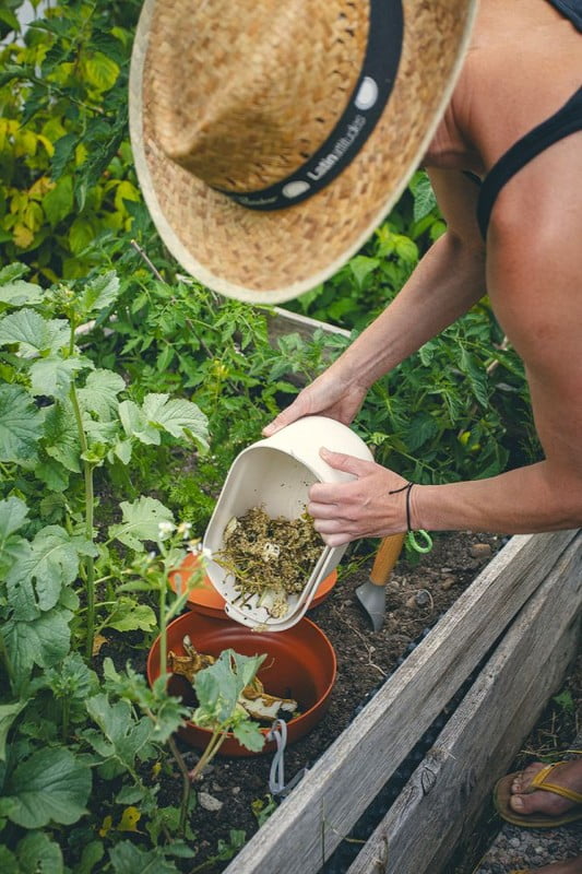 Вдъхновение: Градина