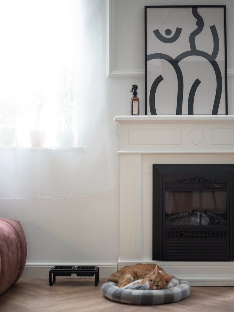 Вдъхновение: Всекидневна