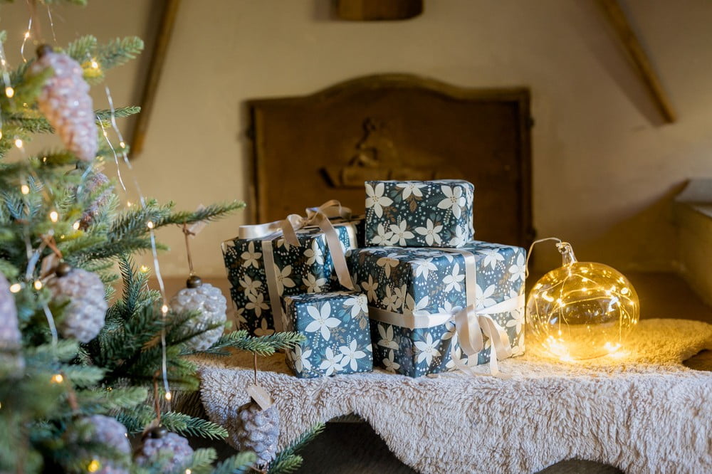 Вдъхновение: Коледа