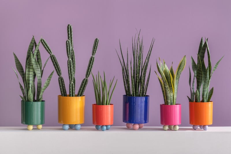 Вдъхновение: Декорация