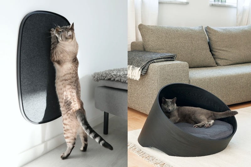 Вдъхновение: Домашни любимци