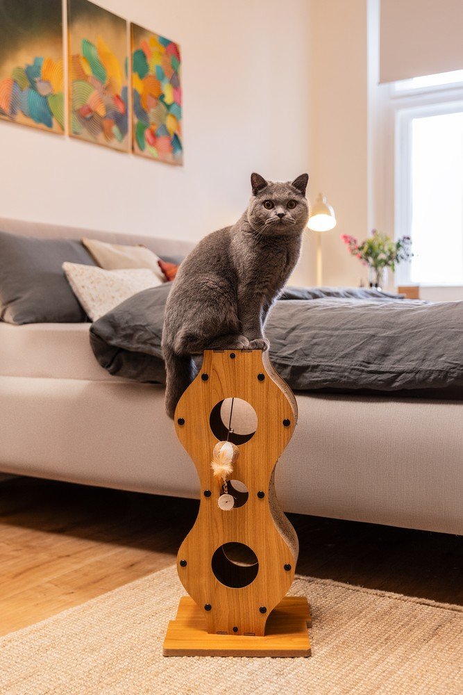 Вдъхновение: Bonami посещения