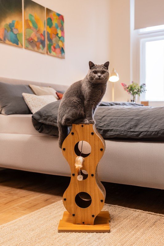 Вдъхновение: Bonami посещения