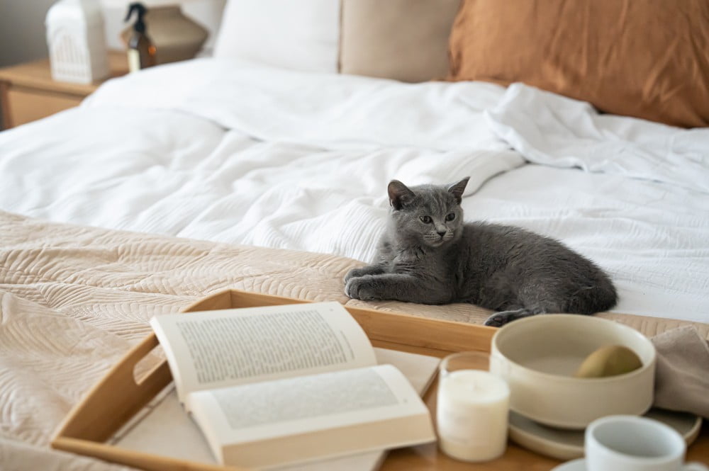 Вдъхновение: Спалня, Класически стил, Есен, Текстил