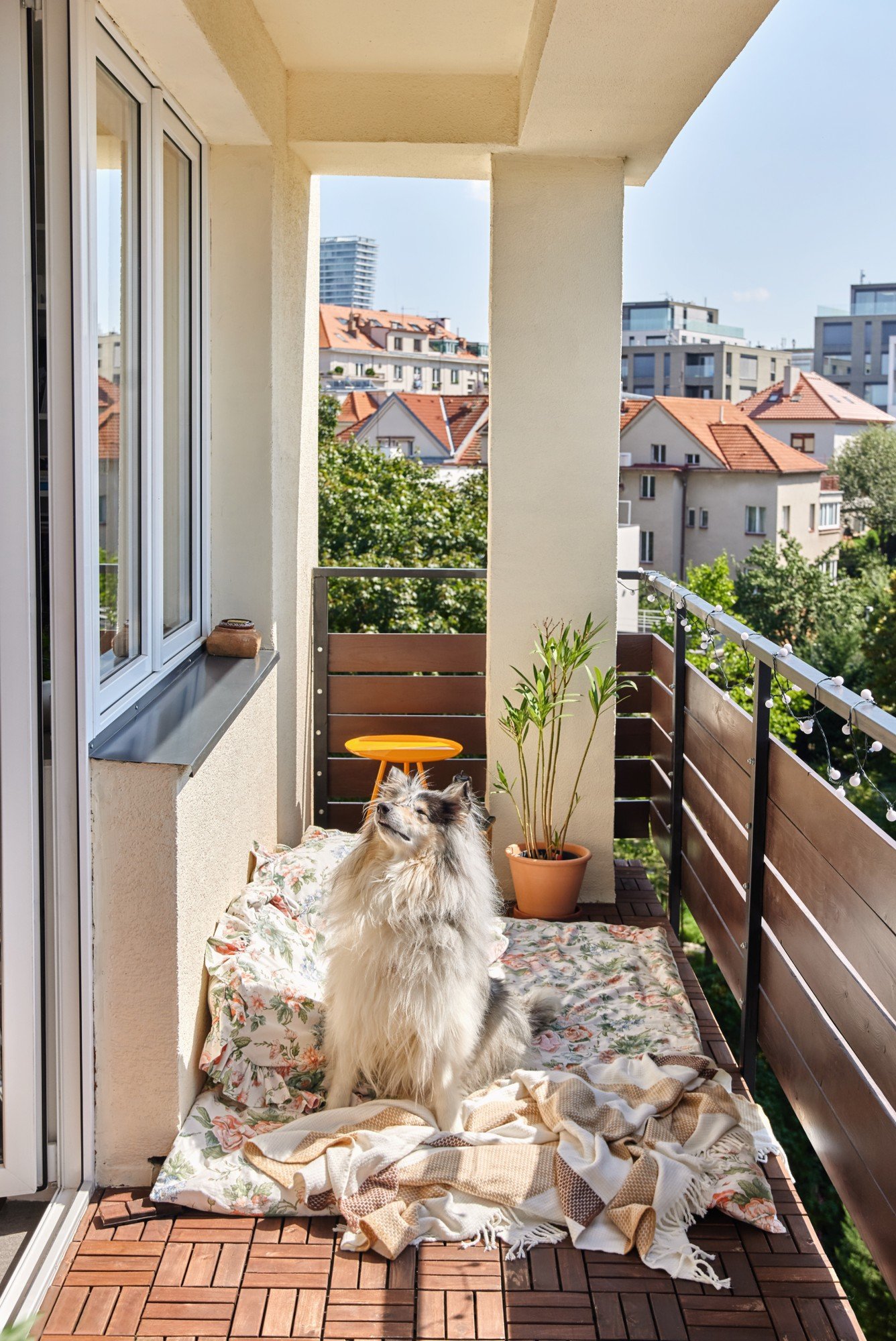 Кътче на балкона за домашния любимец? Един матрак за външна употреба, няколко възглавници и меко одеяло.