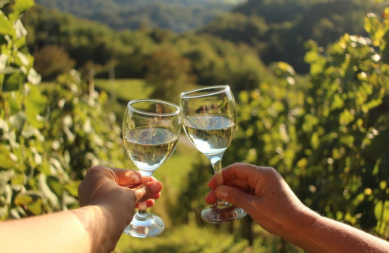 Празник на виното: как най-добре да му се насладите