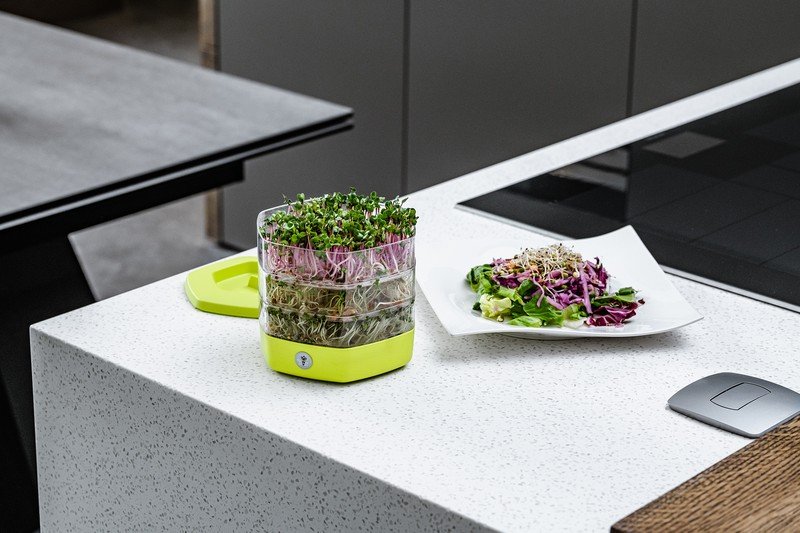 Вдъхновение: Кухня и трапезария, Пролет