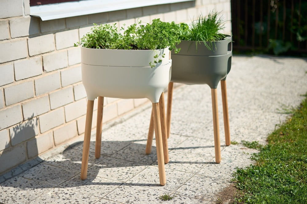 Вдъхновение: Градина